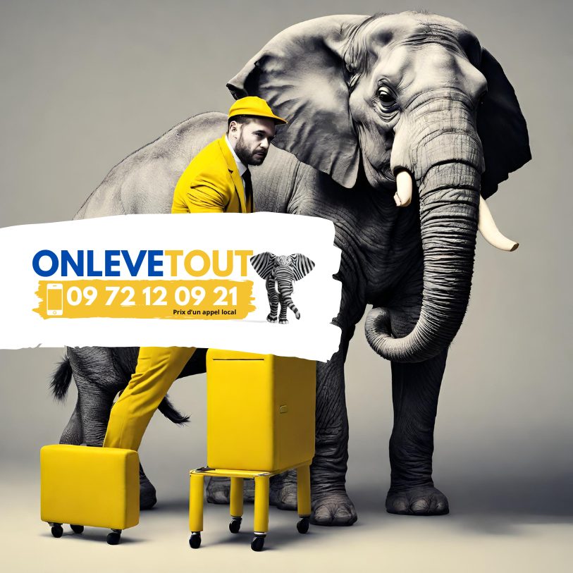 Débarras maison Val-de-Marne (94)